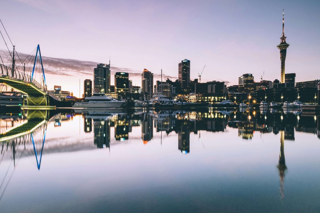 Contact Mint Studies — book your New Zealand immigration consultation
